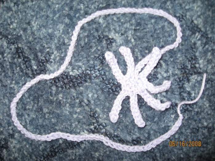 Bug on a String cat toy