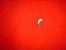 Gi joe 1991 Desert Scorpion Right Arm