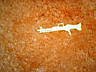GI Joe Dial-Tone 1994 weapon