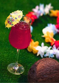 400+ PUNCH RECIPES Refreshing Party Punch Recipes