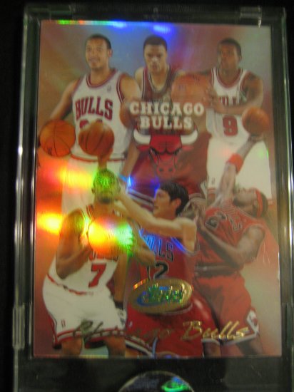 2004 eTOPPS Chicago Bulls team card Ben Gordon Luol Deng rookie cards