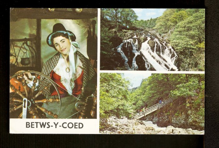 BETWS-Y-COED~Swallow Falls~Miner's Bridge~Nat'l Costume
