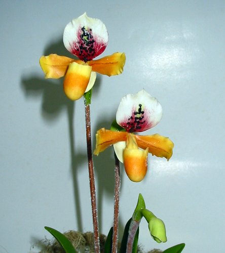 Handmade Lady Slipper Orchid YellowBrown with Red Flower for Home Decor