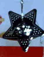 Star Tea or Herb Infuser by Farberware