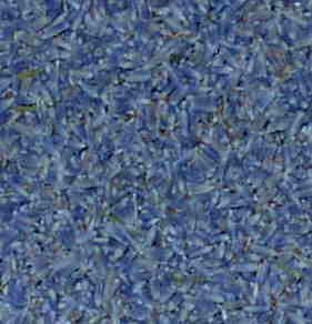 Lavender Flowers Whole 1 oz