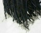 Lot of 10 Ribbon Cord Necklaces Black