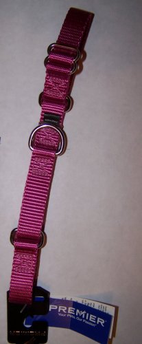 Premier Martingale Dog Collar Medium 3/4" W x 10-16" L