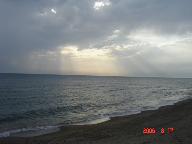 Rays of Sunshine
