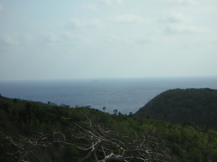 Lookout