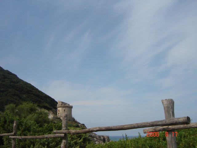 Hillside