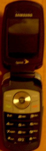 Sprint Samsung Black Face