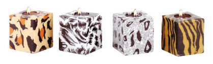 Safari Cube Candle Set