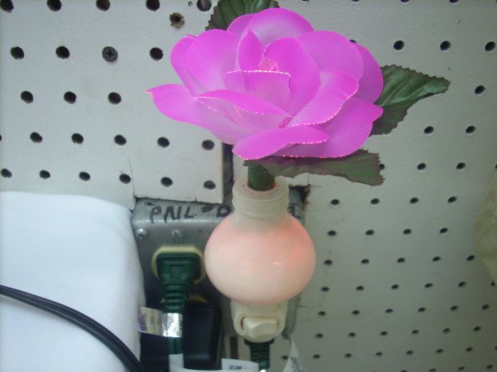 Fiber Optic Rose Night Light