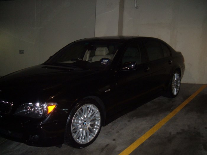 Kwick Spruce *Medium Car