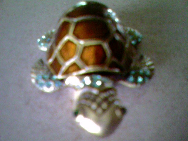 TURTLE