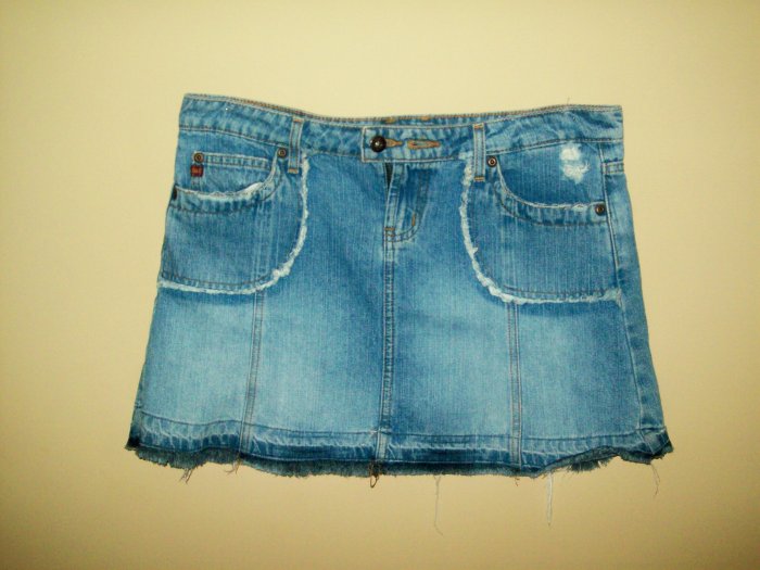 Medium Denim Distressed Mini