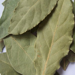 Bay leaves powder 1 Pound