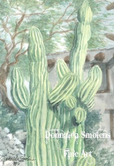 Cabot's 27 watercolor by Donnalda Smolens