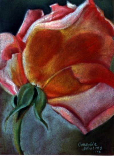 Rosebud Pastel Drawing by Donnalda Smolens