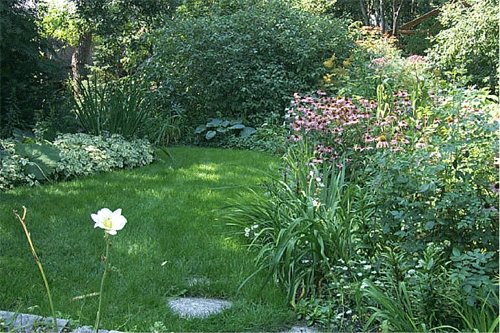 Alternative Lawn Designs