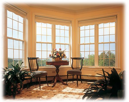 Window Installations