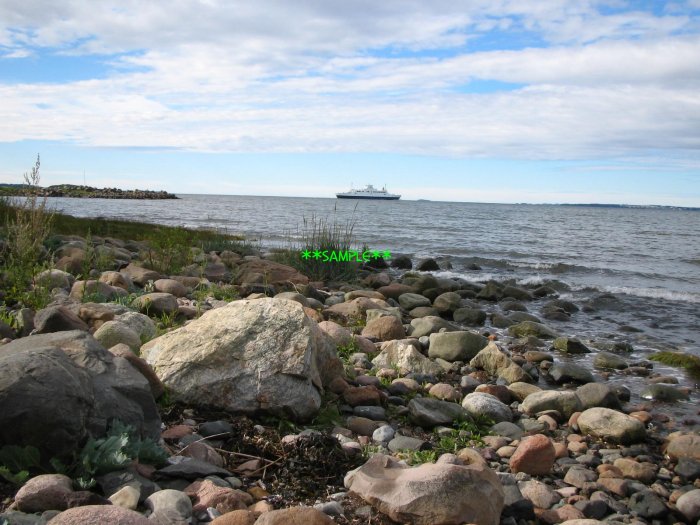 ferry
