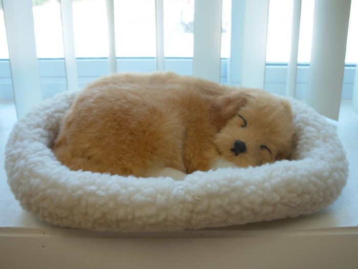 Pet Nap Golden Retriever Puppy Realistic Breathable Sleeping Dog Suffed Animals