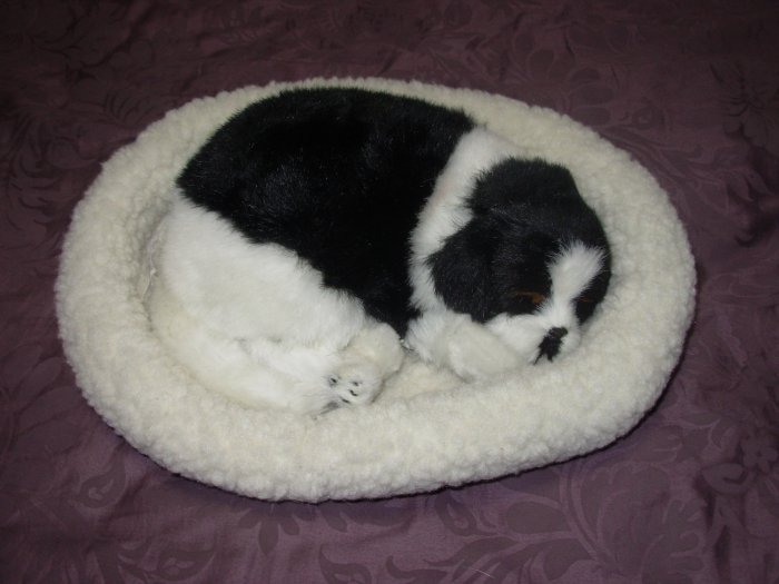 Pet Nap Border Collie Puppy Realistic Breathable Sleeping Dog Suffed Animals