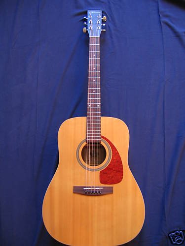 Norman B20 Acoustic