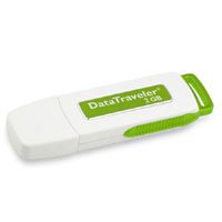 Kingston DataTraveler 2GB Flash Drive