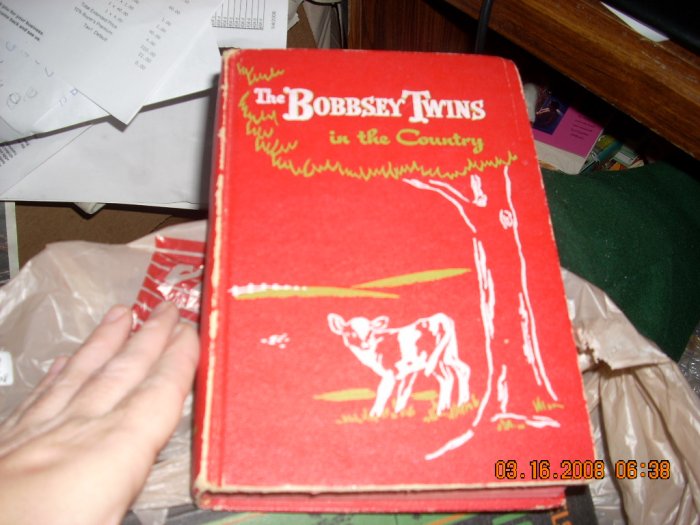 bobbsey twins in the country