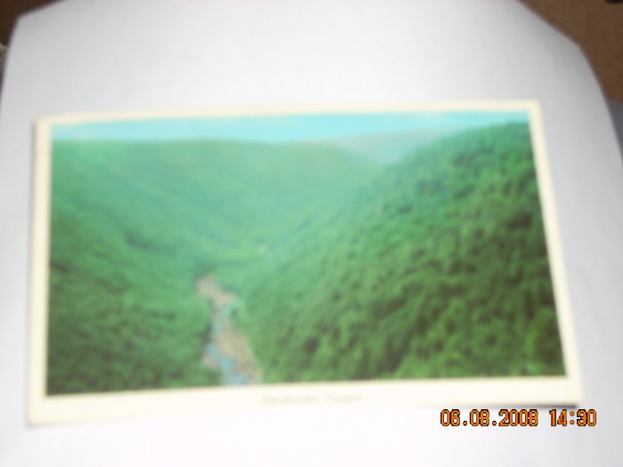 curteichcolor black water canyon in blackwater falls state park