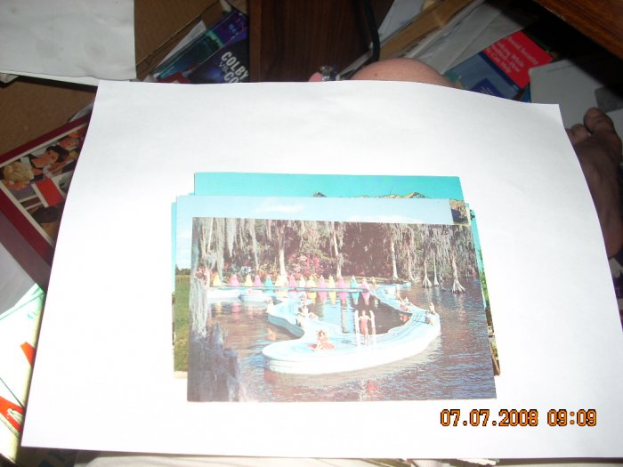 cypress gardens esther wiliams swimming pool florida
