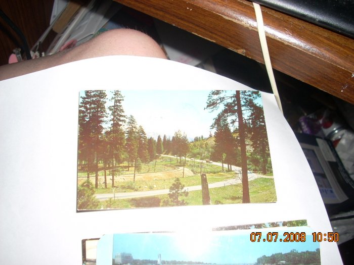 mount shasta california