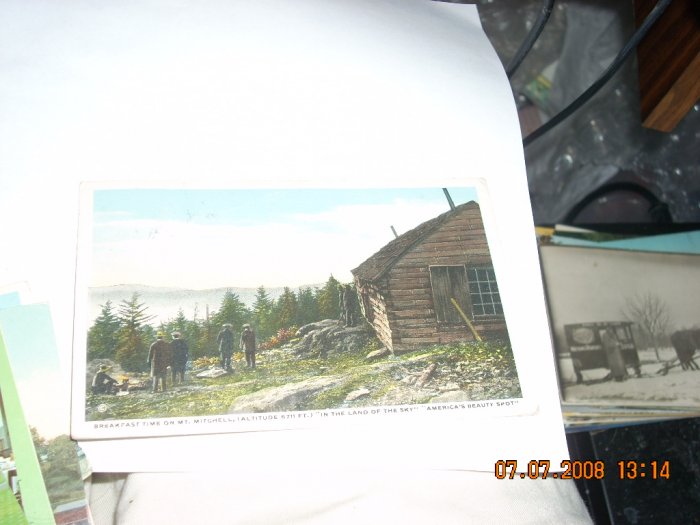 vintage postcard mt mitchell north carolina