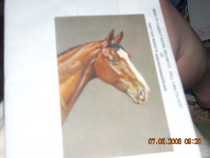 horse postcard printed switzerland