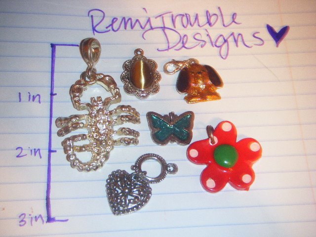 assorted charms
