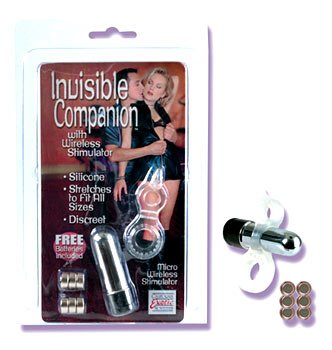 Invisible Companion