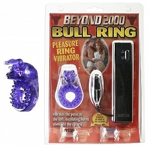 Beyond 2000 Bull Ring