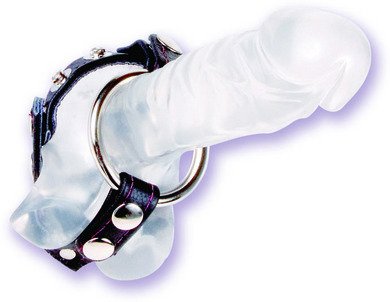 Black Leather English Cock And Ball Cage
