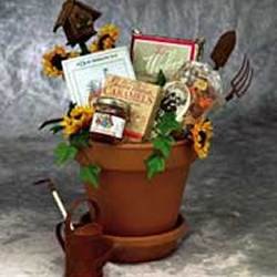 Sunflowers For You