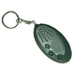 Recording Key Chain
