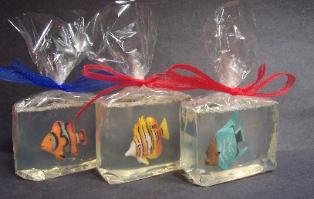 Tropical Fish