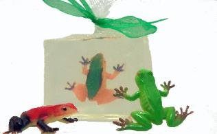 Dart Frogs