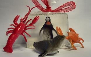 Sea Life