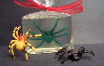Spooky Spiders