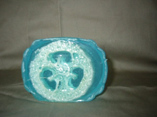 Cool Mint Loofah Soap