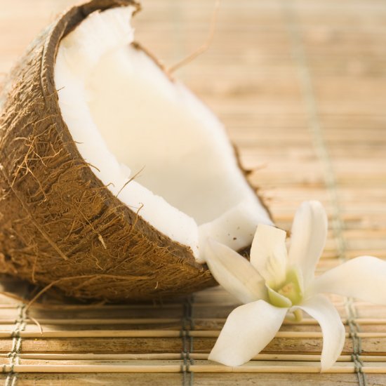 Coconut Whipped Shea Butter (Travel size)