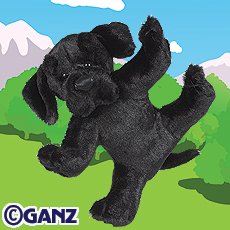 Black Lab Webkinz