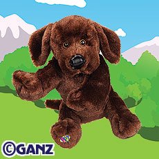 Chocolate Lab Webkinz